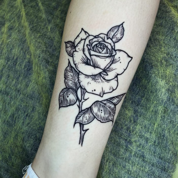 Фото с портфолио Светлана Кулинич