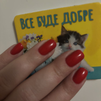 Фото с портфолио Дарья Базилевська