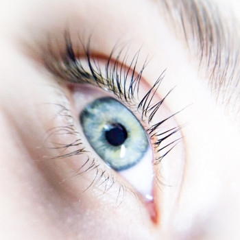 Фото с портфолио Lady