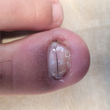 Фото с портфолио Ольга Титаренко