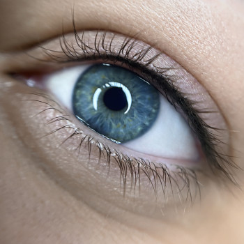 Фото с портфолио Світлана Баранова