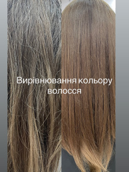Заріна