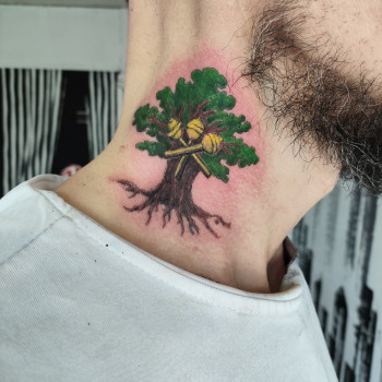 Фото с портфолио Алена Беляевка