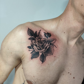 Фото с портфолио Алена Беляевка