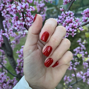 Фото с портфолио Ганна Фельчер