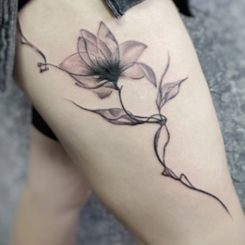 Фото с портфолио Владимир Медвидь