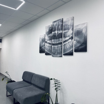 Фото с портфолио Antipa Dentistry