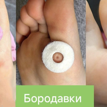 Фото с портфолио Людмила Даценко