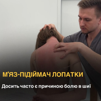 Фото с портфолио Reflex Rehab