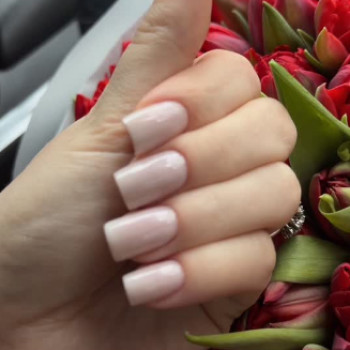 Фото с портфолио Disolo