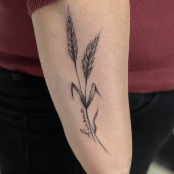 Фото с портфолио Tattoo Line