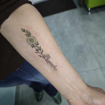 Фото с портфолио Оксана OKSI_PM_TATTOO