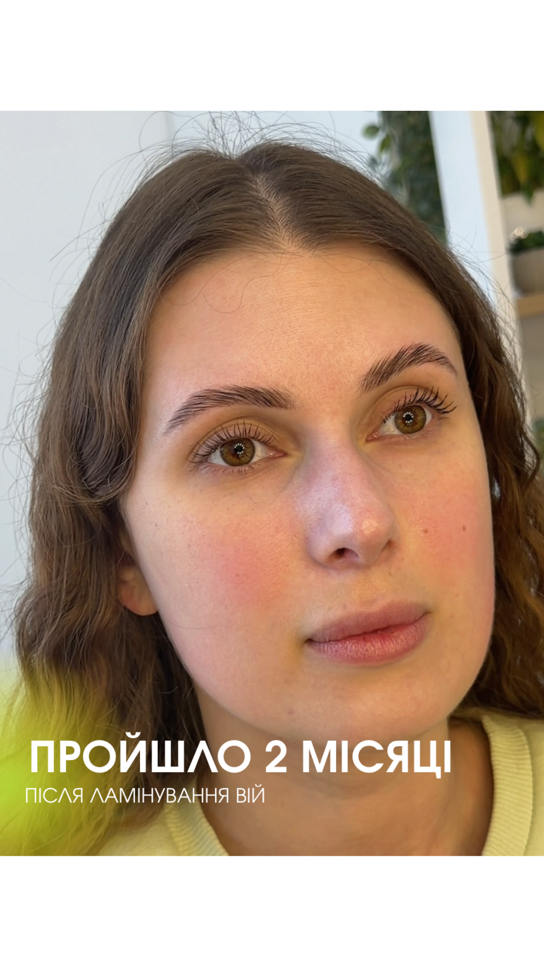 Ламінування вій через 2 місяці після процедури, фото - Бровіст Вероніка Булаєнко