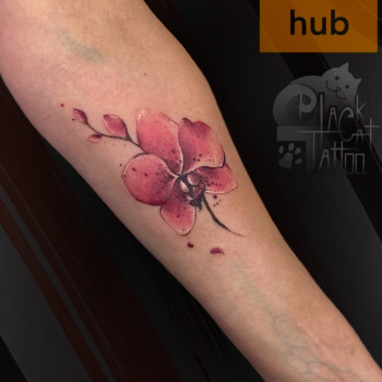 Фото с портфолио Юлія Коловратова