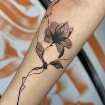 Фото с портфолио Юлия Коловратова