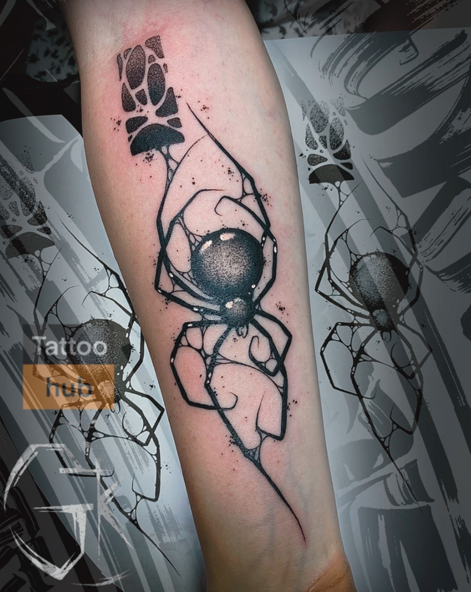 Павук, фото - Тату салон Tattoo hub