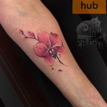 Тату Канів. Юлія Коловратова. Tattoo hub