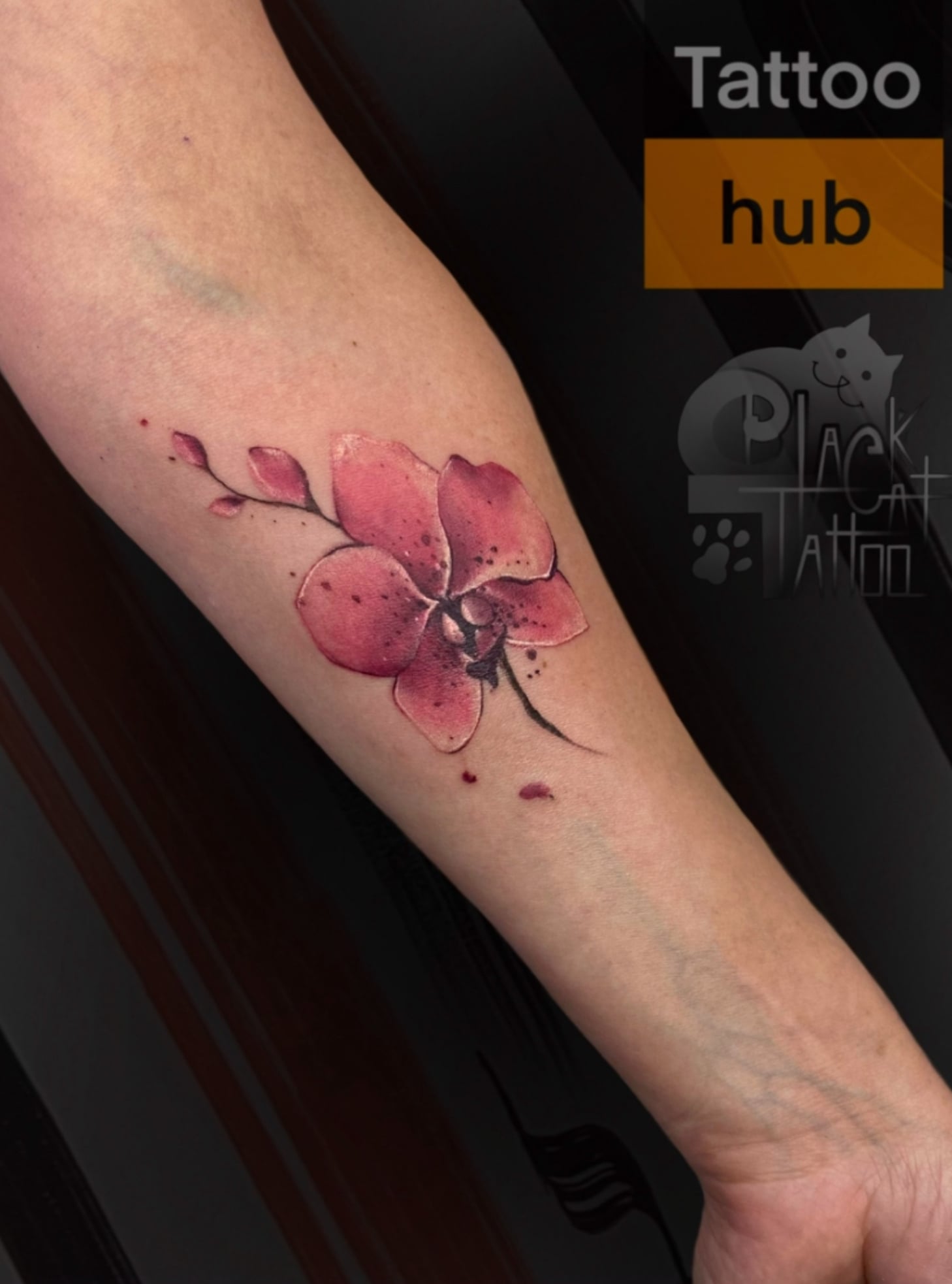 Тату Канів. Юлія Коловратова. tattoo hub, фото - Тату салон Tattoo hub