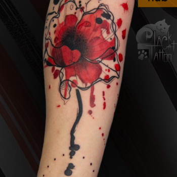 Тату Канів. Юлія Коловратова. Tattoo hub