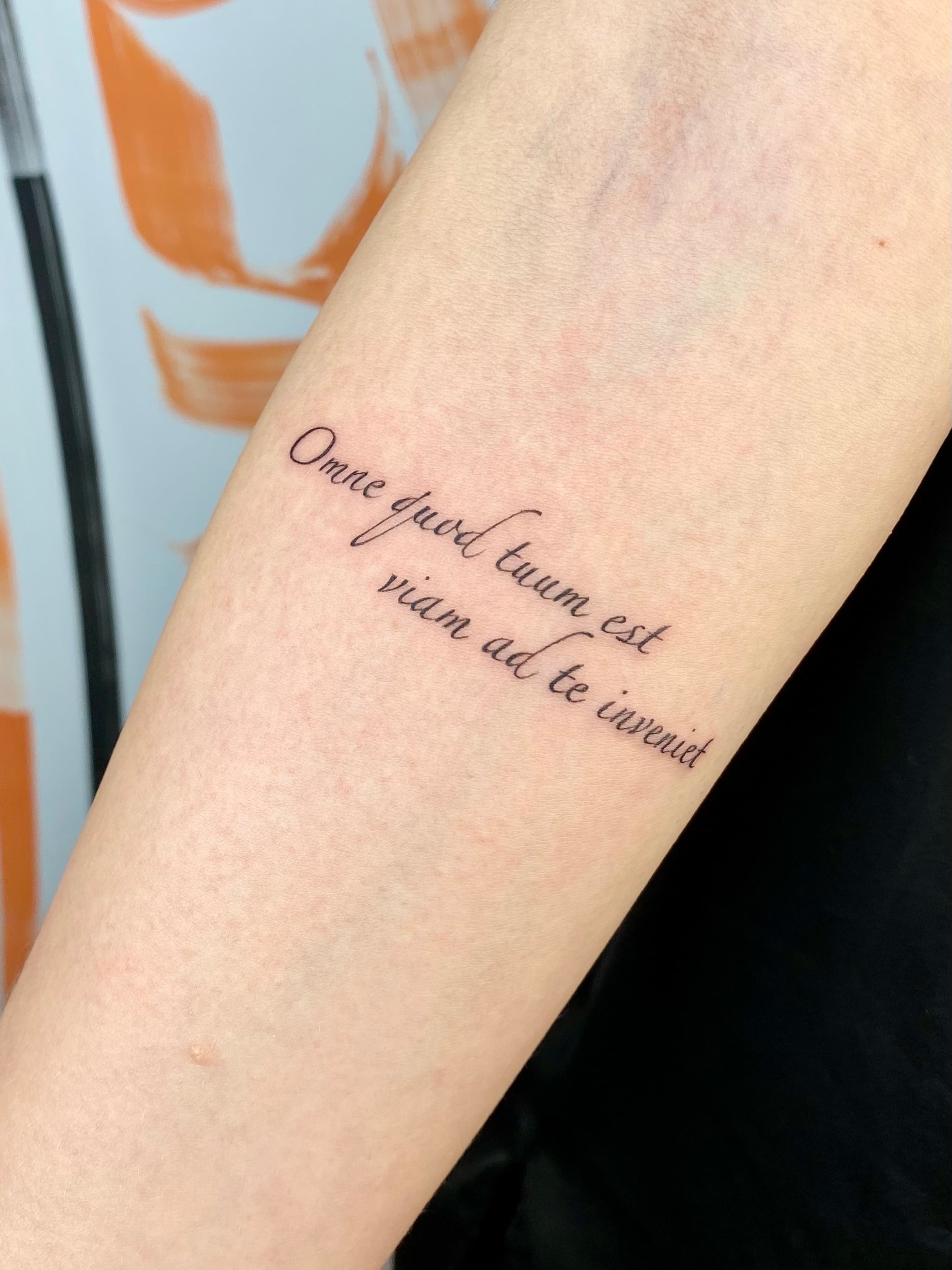 Тату Канів. Юлія Коловратова. tattoo hub., фото - Тату мастер Юлия Коловратова