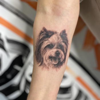 Тату Канів. Юлія Коловратова. Tattoo hub.