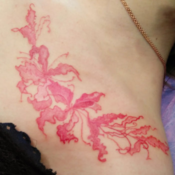 Фото с портфолио Наталiя Дзюбiна
