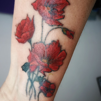 Фото с портфолио Наталiя Дзюбiна