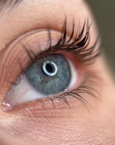 Ламінування вій ботокс, фото - Бровіст Аліна Іщенко