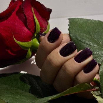 Фото с портфолио Ярина Кошик