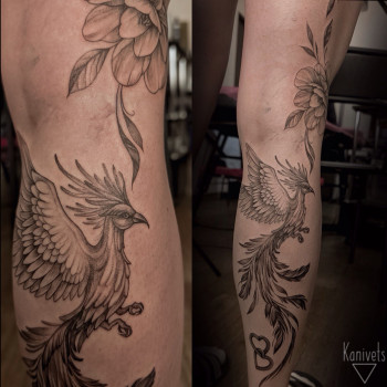 Фото с портфолио Аліна Канівець