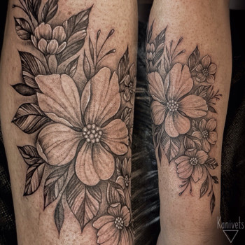 Фото с портфолио Аліна Канівець