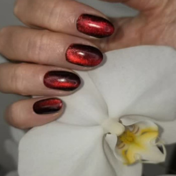 Фото с портфолио Viana