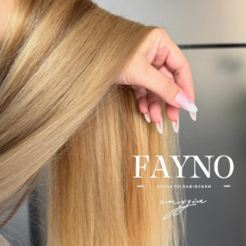 Фото с портфолио Fayno