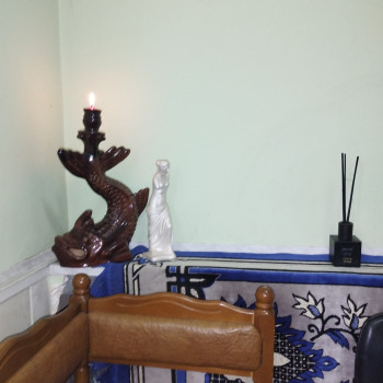 Фото с портфолио Health-Care Room