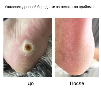 Фото с портфолио Руслана Гончарова