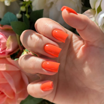 Фото с портфолио Vesna