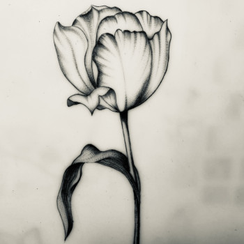Фото с портфолио Юлія Стрілковська