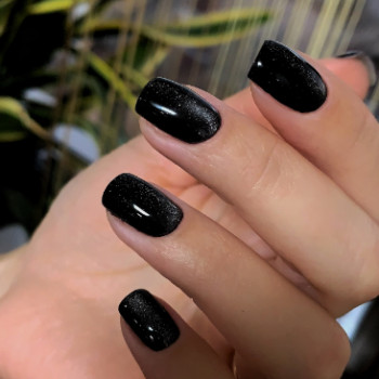 Фото с портфолио Level