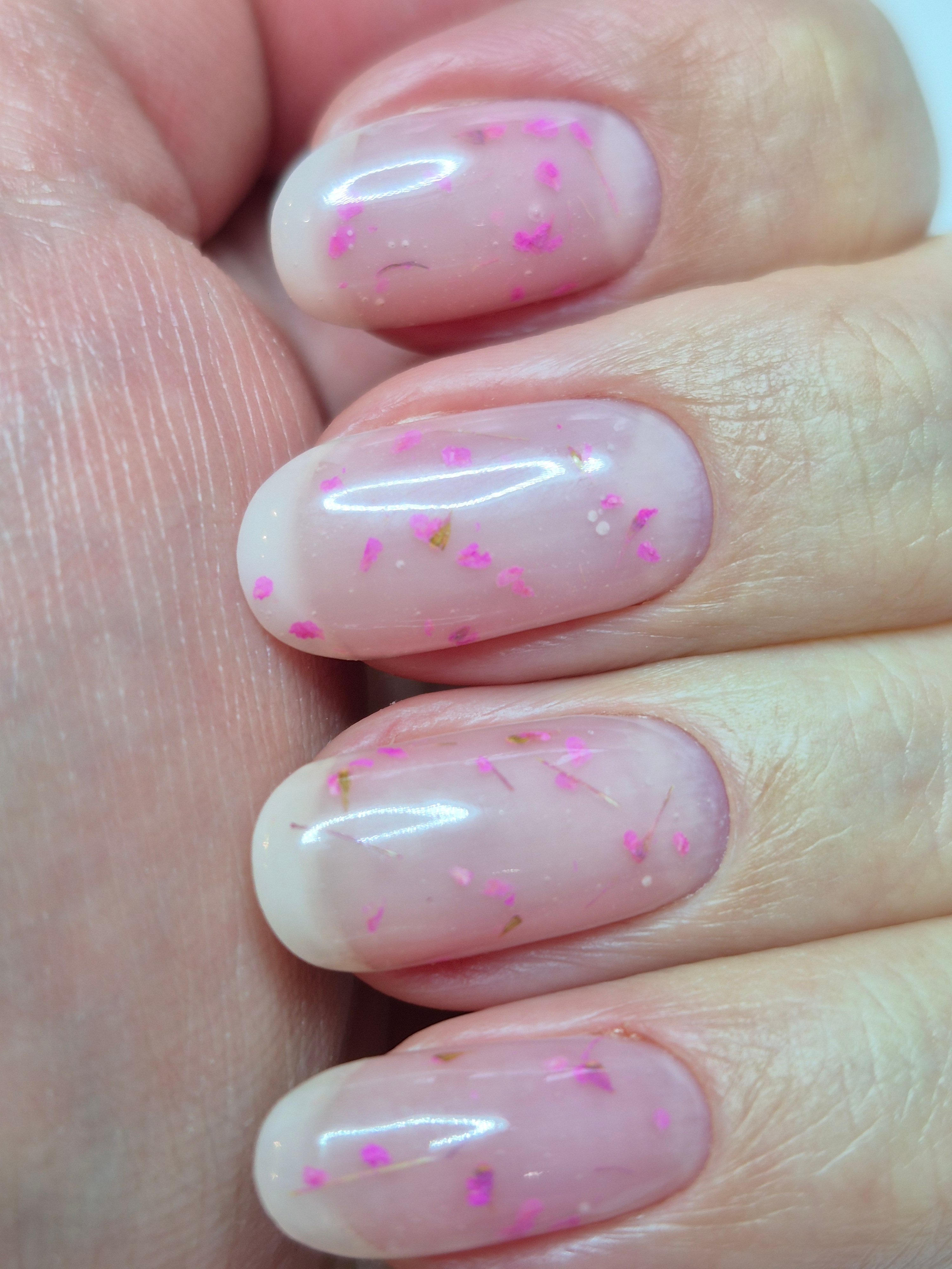 Нежный маникюр французский прозрачный, фото - Студия красоты OH NAILS