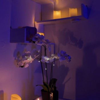 Фото с портфолио Юлія Масіч