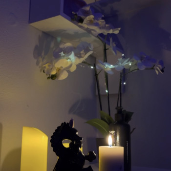 Фото с портфолио Юлія Масіч