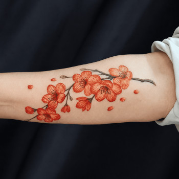 Фото с портфолио Палітра тату