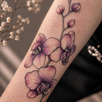 Фото с портфолио Наталія Семенцова