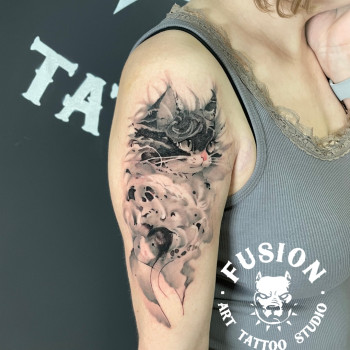 Фото с портфолио Fusion