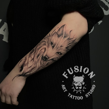 Фото с портфолио Fusion