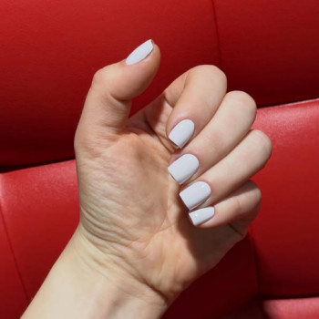 Фото с портфолио Hollywood