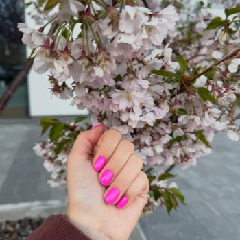 Фото с портфолио Голівуд