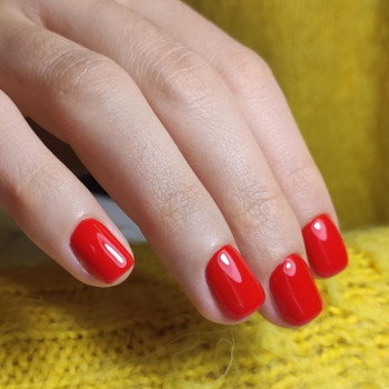Фото с портфолио Esthetique