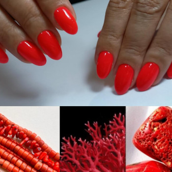 Фото с портфолио Esthetique