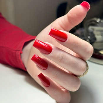 Фото с портфолио MMM Beauty Salon